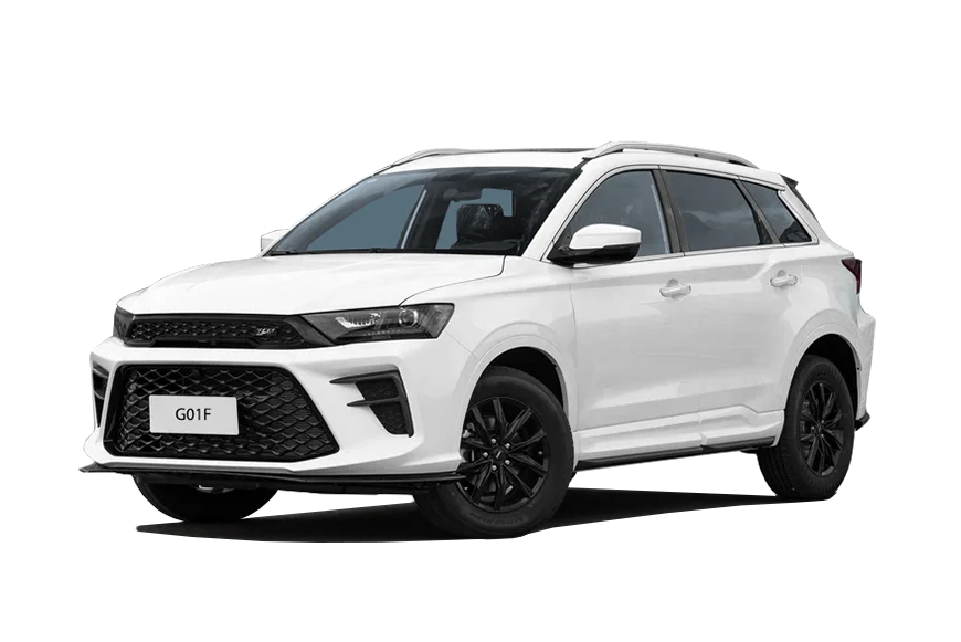 Swm G01F (SUV 5D) — купить в Краснодаре